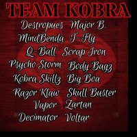 Banner image for all members of Team Kobra