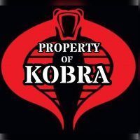 team kobra banner image of a cobra snake