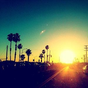 image of a California sunset with palm trees in view for a hip hop rap beat titled 270 degrees