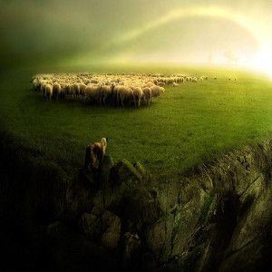 image of sheep being stalked by a wolf on a cliff edge for a hip hop rap beat titled thick and thin